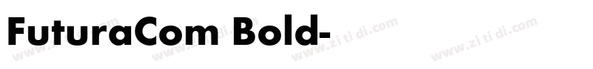 FuturaCom Bold字体转换